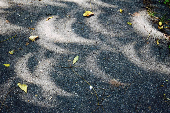 Picture of leaves on the ground with crescent moon shadows. Therapy for artists in Virginia and Maryland can help you find grounding through mindfulness practice in Richmond, Baltimore and beyond.
